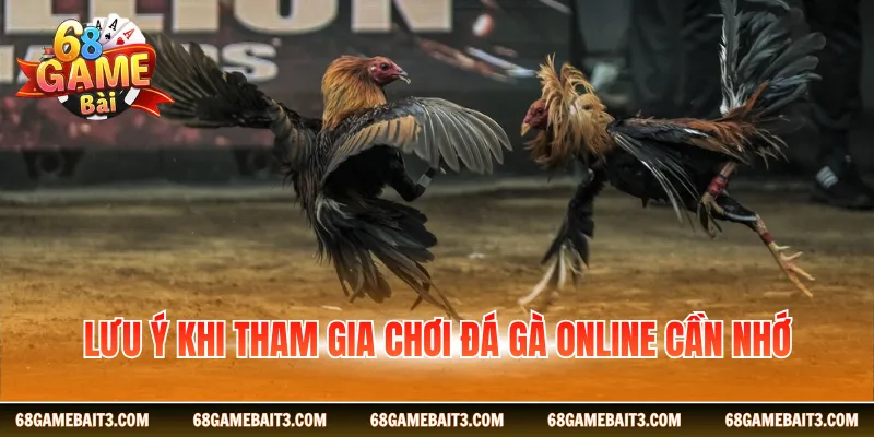 Lưu ý khi tham gia chơi đá gà online cần nhớ